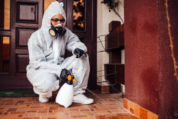 Attic and Crawl Space Rodent Treatment in Camino